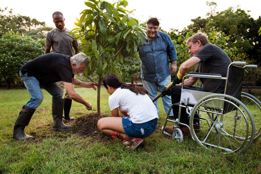 NDIS Social Community Participation